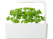 Charger l&#39;image dans la galerie, CLICK &amp; GROW Persil Recharge Pack de 3 (CG-RFPARS)
