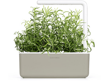 Charger l&#39;image dans la galerie, CLICK &amp; GROW Romarin Recharge Pack de 3 (CNG REFILL ROSEMARY)
