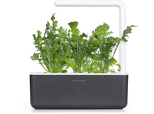 Charger l&#39;image dans la galerie, CLICK &amp; GROW Roquette Recharge Pack de 3 (CNG REFILL ARUGULA)
