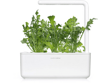 Charger l&#39;image dans la galerie, CLICK &amp; GROW Roquette Recharge Pack de 3 (CNG REFILL ARUGULA)
