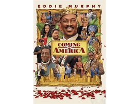 Coming 2 America - DVD