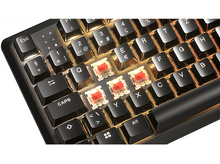 Charger l'image dans la galerie, alt1
