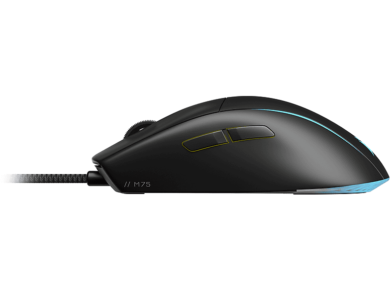 alt1