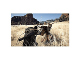 Crimson Desert - Day One Edition - PS2