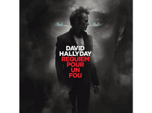 Charger l'image dans la galerie, Pochette de l'album de David Hallyday. Un homme en noir avec un visage en arrière-plan.
