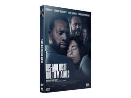 Affiche du film avec les acteurs : Omar Sy, Elodie Bouchez, José Garcia, Vanessa Paradis. Titre : Dis-Moi Juste Que Tu M