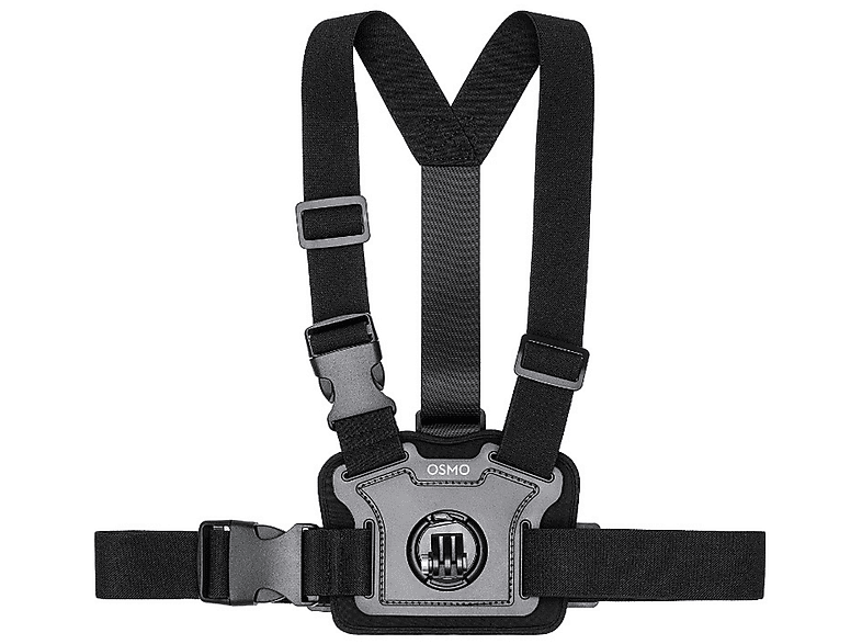 alt1