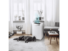 Charger l&#39;image dans la galerie, Un climatiseur blanc dans une pièce, avec un chien.
