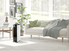 Charger l'image dans la galerie, Scène de salon avec canapé blanc, plante et refroidisseur d'air.
