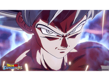 Charger l&#39;image dans la galerie, NAMCO DRAGON BALL: Sparking! ZERO FR/NL - Xbox Series X
