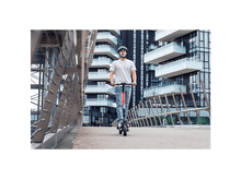 Charger l'image dans la galerie, alt1
