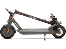 Charger l&#39;image dans la galerie, alt1
