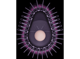 DYSON Airsmooth Brosse sèche-cheveux Ceramic Pink