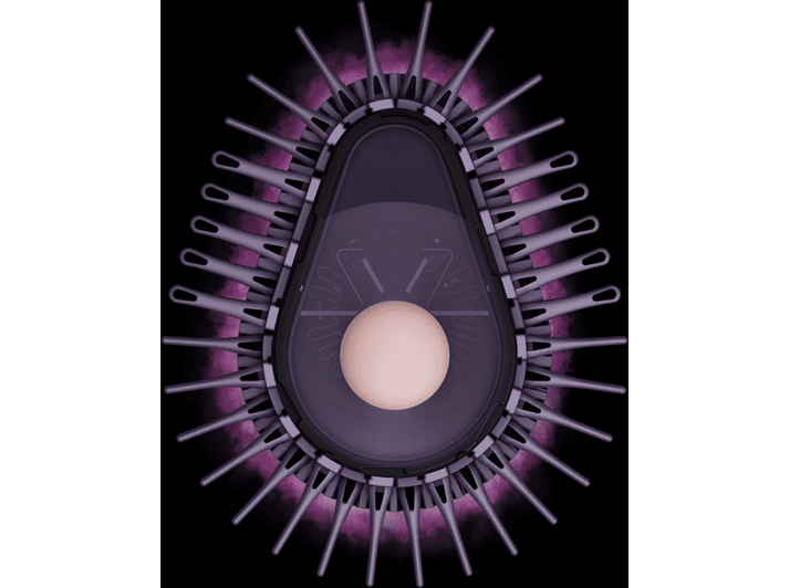 alt1