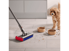 Charger l'image dans la galerie, alt1
