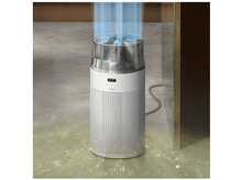 Charger l'image dans la galerie, alt1
