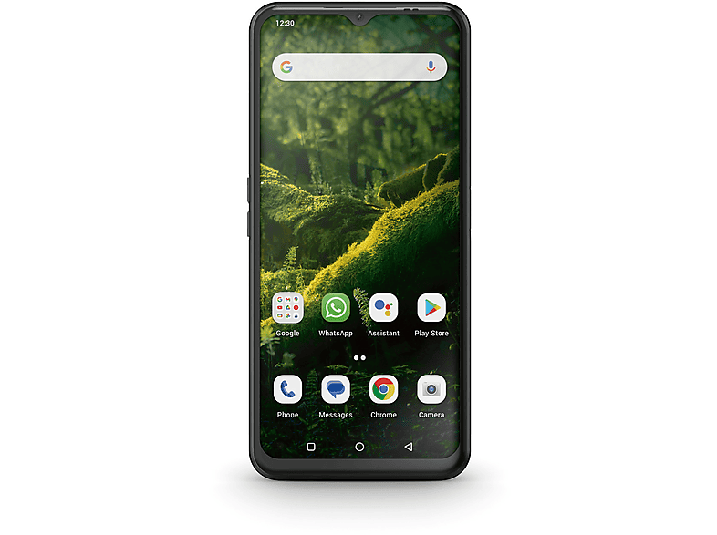 alt1