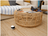 ENABOT EBO SE Pet Campanion Robot- EU Jouets