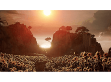 Charger l&#39;image dans la galerie, Vue panoramique de tournesols dans un champ au coucher du soleil.
