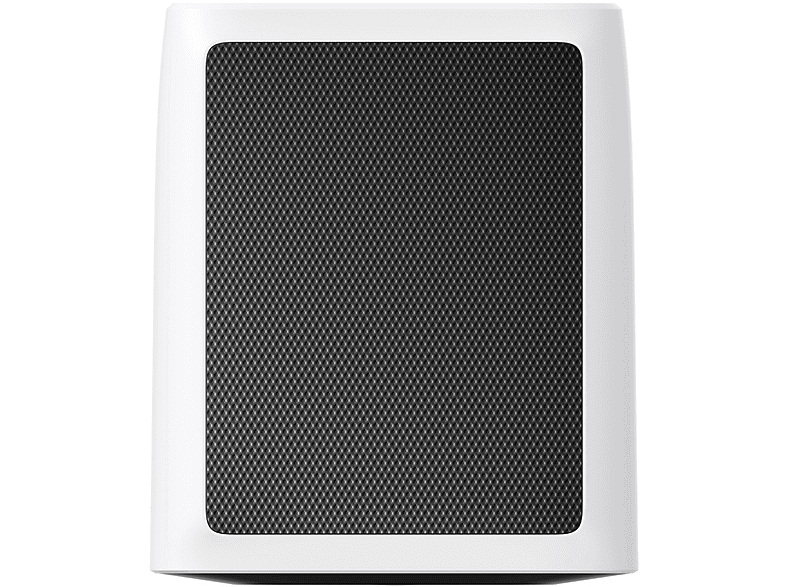 alt1