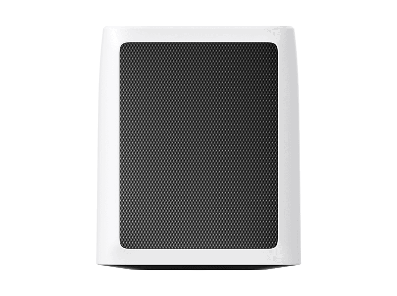 alt1