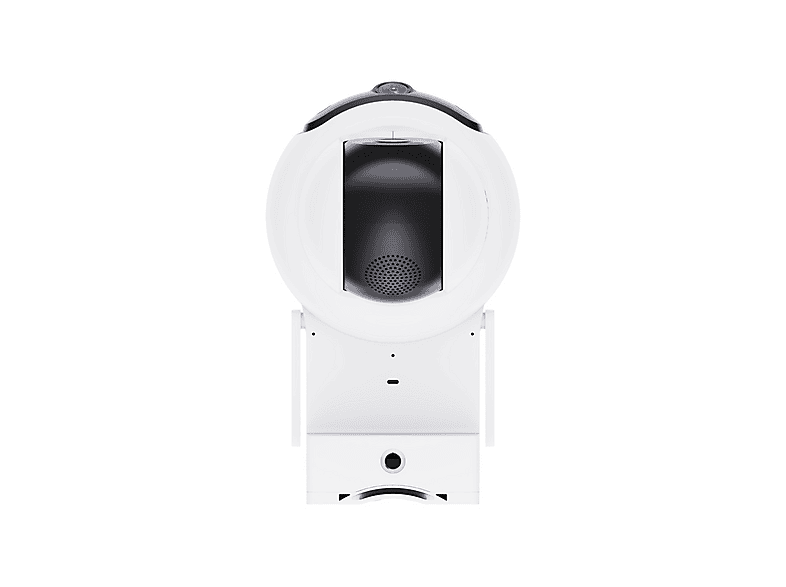 alt1
