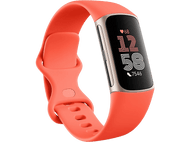 FITBIT Activity tracker Charge 6 4.4'' Doré (GA05184)