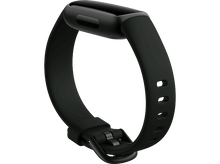 Charger l'image dans la galerie, alt1
