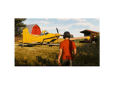 Flight Simulator 2024 - PS5