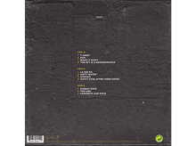 Charger l&#39;image dans la galerie, Foo Fighters - Concrete and Gold LP
