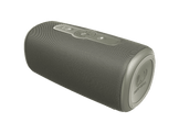 FRESH N REBEL BOLD L3 BT Speaker Dried Green 1RBB7600DG