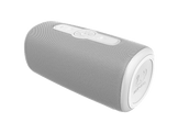 FRESH N REBEL BOLD L3 BT Speaker Ice Grey 1RBB7600IG