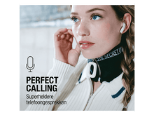 Charger l'image dans la galerie, alt1
