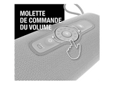 FRESH N REBEL Enceinte portable Bold M2 Ice Grey (1RB7400IG) Enceinte portable Gris