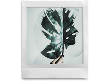 Charger l&#39;image dans la galerie, Photo Polaroid : silhouette d&#39;une tête, feuille au milieu.
