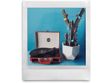 Charger l&#39;image dans la galerie, Tourne-disque et cactus avec œufs.
