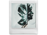 FUJIFILM Instax double pack 2x10 Square