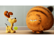 Charger l&#39;image dans la galerie, Garfield : Héros malgré lui - Blu-ray
