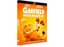Charger l&#39;image dans la galerie, Garfield : Héros malgré lui - Blu-ray
