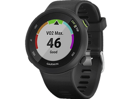 GARMIN Montre GPS Forerunner 45 Noir (010-02156-15)