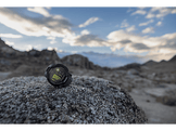 GARMIN Smartwatch Instinct 3 45mm AMOLED Noir (010-02936-00)