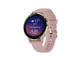 GARMIN Smartwatch Venu 3S Dust Rose Soft Gold (010-02785-03)