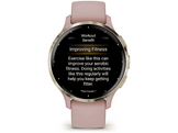 GARMIN Smartwatch Venu 3S Dust Rose Soft Gold (010-02785-03)