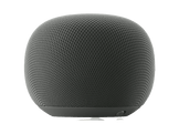 GOOGLE Home Speaker Hazel - Enceinte connectée avec commande vocale – Gris