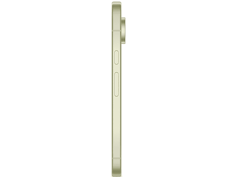 alt1