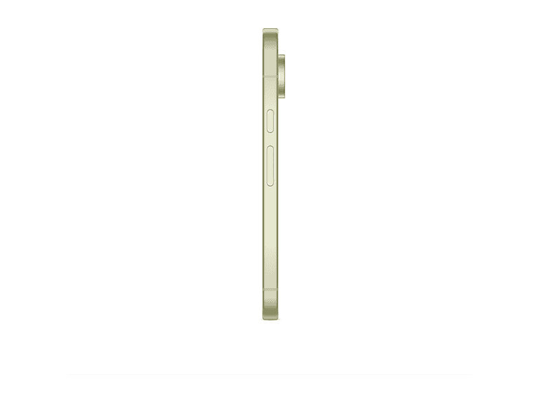 alt1