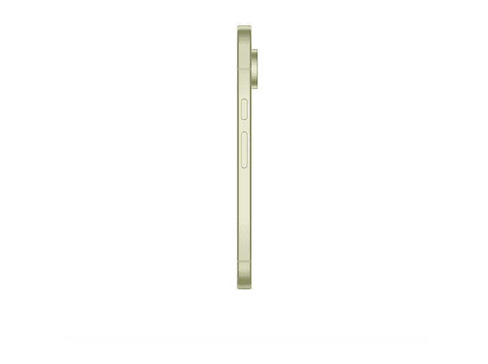 alt1