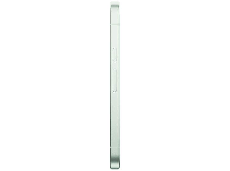 alt1