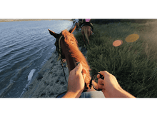 Charger l&#39;image dans la galerie, Personne monte un cheval brun près de l&#39;eau. D&#39;autres montent à distance. Herbe verte à droite.
