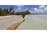 GOPRO Monopode avec trépied Shorty GoPro (DGMAFTTM-001)